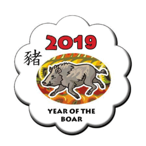 Year of the Wild Boar